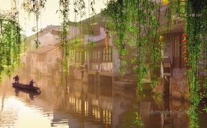 Jiangnan is basking in the freshness of spring.江南已是霧春。